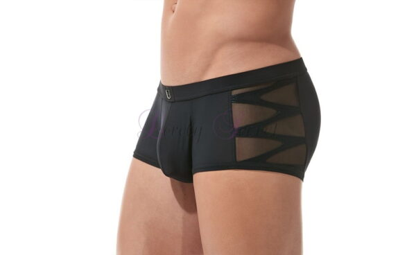 Boxer classe noir pour homme