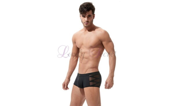 Boxer classe noir pour homme