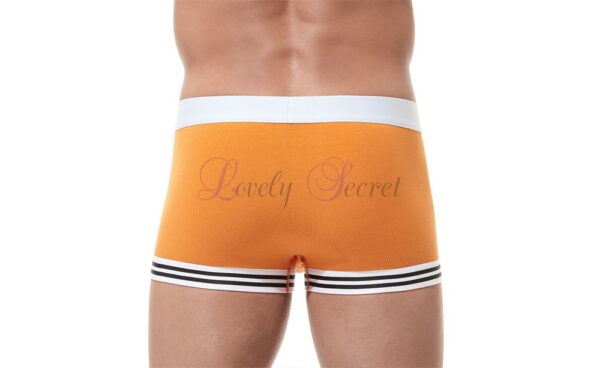 Boxer sportif pour homme