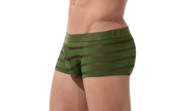 Boxer semi-transparent pour homme