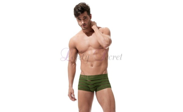 Boxer semi-transparent pour homme