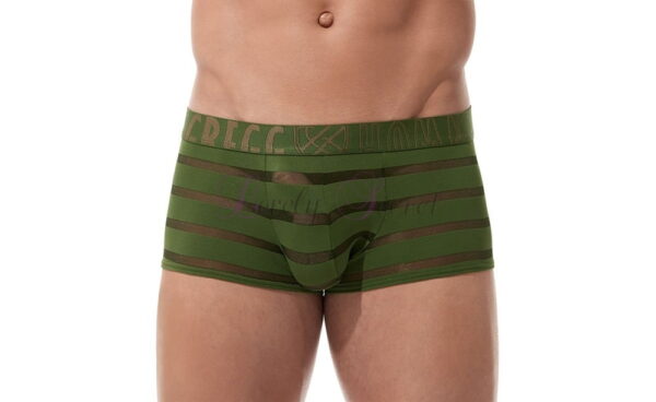 Boxer semi-transparent pour homme