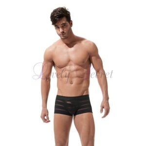 Boxer semi-transparent pour homme