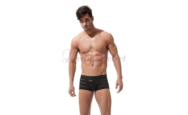 Boxer semi-transparent pour homme