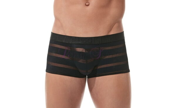 Boxer semi-transparent pour homme