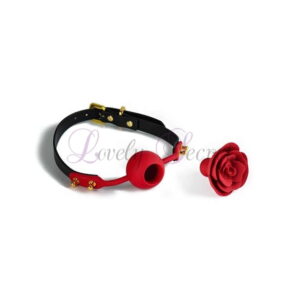 Bâillon Rose Ball Gag