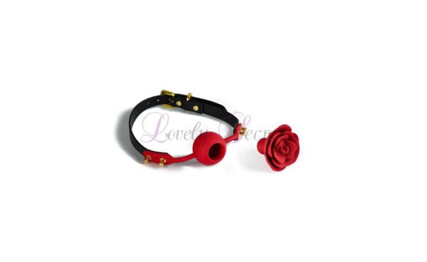 Bâillon Rose Ball Gag