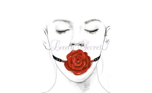 Bâillon Rose Ball Gag